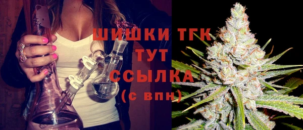 бошки Алексин